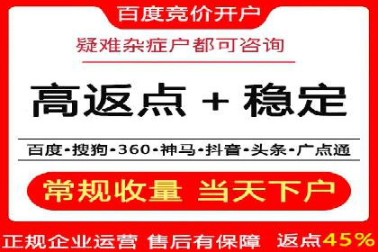 竞价广告与自然搜索的结合策略：XX网站的案例分析